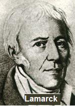 Lamarck